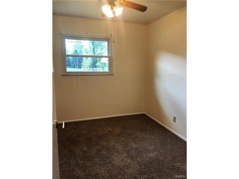 225 E Ripa Ave, Saint Louis, MO 63125 photo 16
