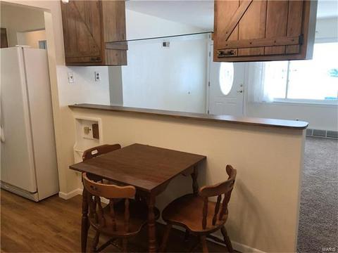225 E Ripa Ave, Saint Louis, MO 63125 photo 6