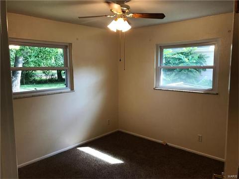 225 E Ripa Ave, Saint Louis, MO 63125 photo 12