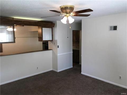 225 E Ripa Ave, Saint Louis, MO 63125 photo 5