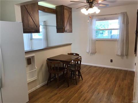 225 E Ripa Ave, Saint Louis, MO 63125 photo 8