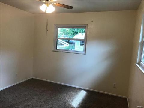 225 E Ripa Ave, Saint Louis, MO 63125 photo 15