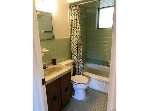 225 E Ripa Ave, Saint Louis, MO 63125 photo 13