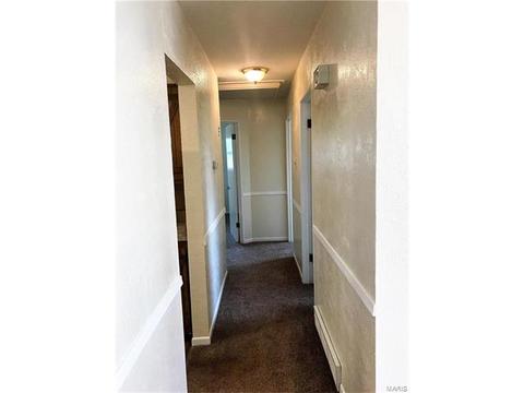 225 E Ripa Ave, Saint Louis, MO 63125 photo 11