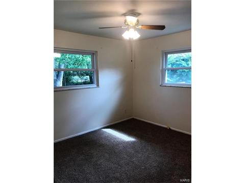 225 E Ripa Ave, Saint Louis, MO 63125 photo 14