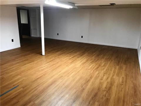 225 E Ripa Ave, Saint Louis, MO 63125 photo 17