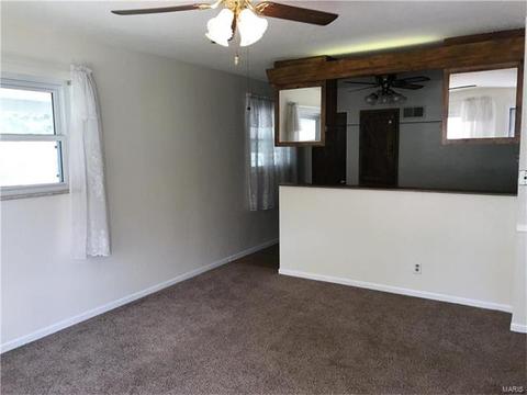 225 E Ripa Ave, Saint Louis, MO 63125 photo 4