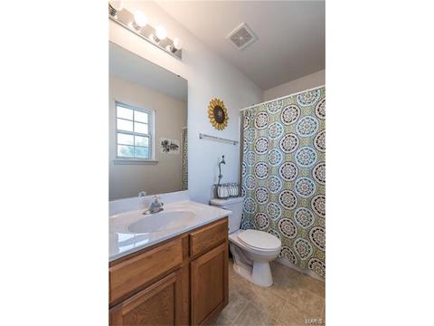 310 Burning Brook Dr, O'fallon, MO 63366 photo 9