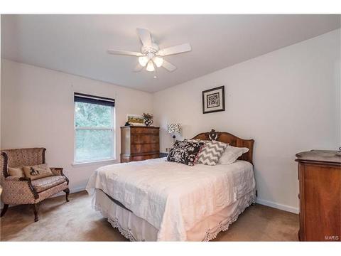 310 Burning Brook Dr, O'fallon, MO 63366 photo 11