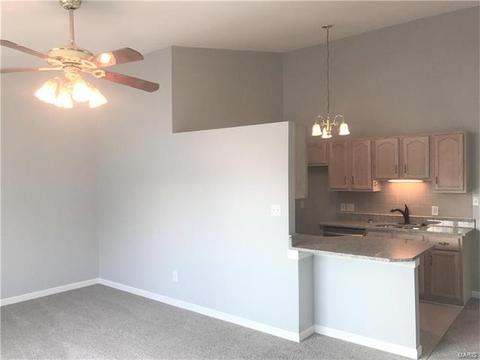 125 Towne Square Ct, Eureka, MO 63025 photo 7