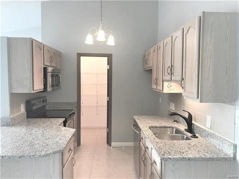 125 Towne Square Ct, Eureka, MO 63025 photo 4