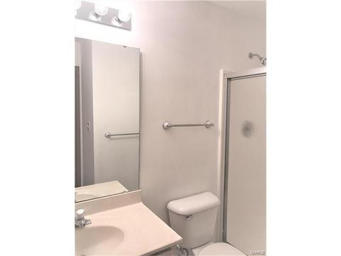 125 Towne Square Ct, Eureka, MO 63025 photo 11