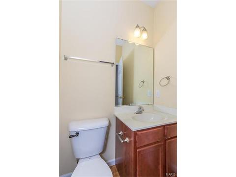 205 Spring Borough Dr, O'fallon, MO 63368 photo 11