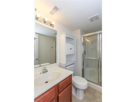 205 Spring Borough Dr, O'fallon, MO 63368 photo 28
