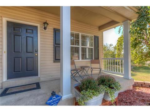 205 Spring Borough Dr, O'fallon, MO 63368 photo 33