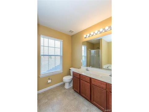 205 Spring Borough Dr, O'fallon, MO 63368 photo 15