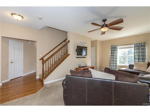 205 Spring Borough Dr, O'fallon, MO 63368 photo 8