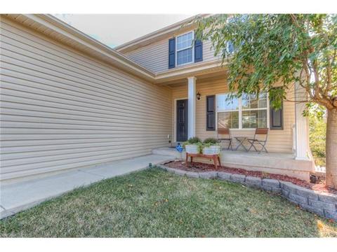 205 Spring Borough Dr, O'fallon, MO 63368 photo 31