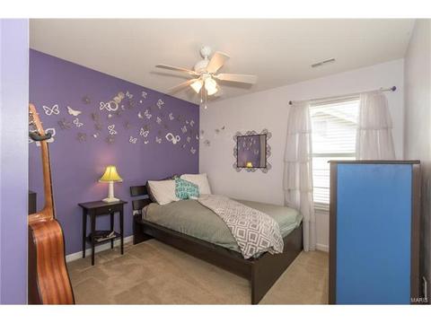 205 Spring Borough Dr, O'fallon, MO 63368 photo 19