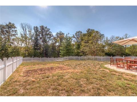 205 Spring Borough Dr, O'fallon, MO 63368 photo 32