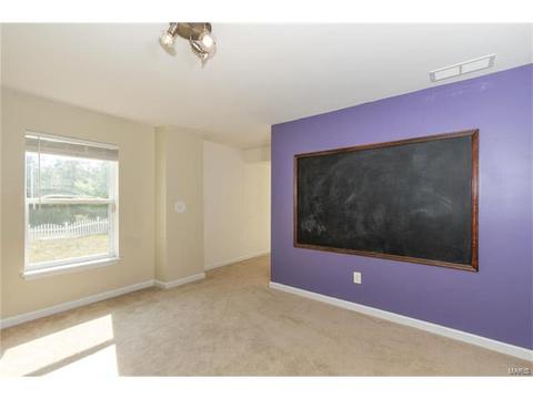 205 Spring Borough Dr, O'fallon, MO 63368 photo 27