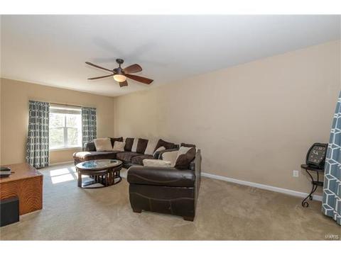 205 Spring Borough Dr, O'fallon, MO 63368 photo 10