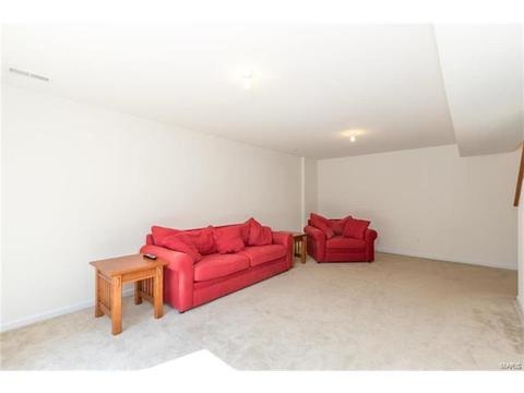 205 Spring Borough Dr, O'fallon, MO 63368 photo 25