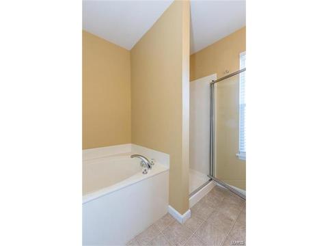 205 Spring Borough Dr, O'fallon, MO 63368 photo 17