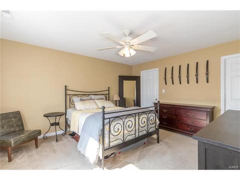205 Spring Borough Dr, O'fallon, MO 63368 photo 13