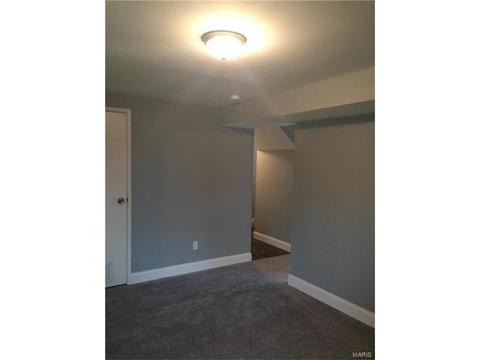 18 Chip Dr, O'fallon, MO 63366 photo 20