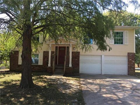 18 Chip Dr, O'fallon, MO 63366 photo 1