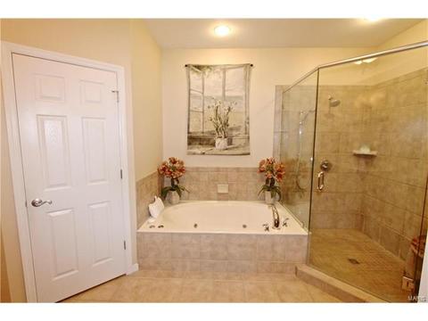 1439 Dietrich Woods Ct, Ballwin, MO 63021 photo 29