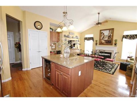 1439 Dietrich Woods Ct, Ballwin, MO 63021 photo 16
