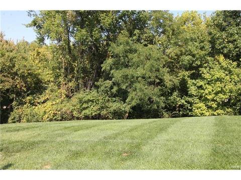 1439 Dietrich Woods Ct, Ballwin, MO 63021 photo 51