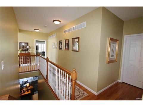 1439 Dietrich Woods Ct, Ballwin, MO 63021 photo 25
