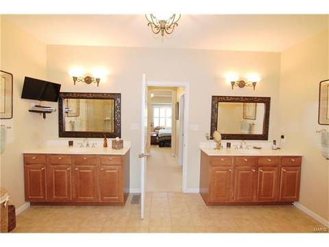 1439 Dietrich Woods Ct, Ballwin, MO 63021 photo 28