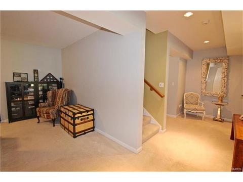 1439 Dietrich Woods Ct, Ballwin, MO 63021 photo 31
