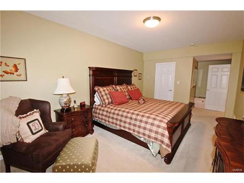 1439 Dietrich Woods Ct, Ballwin, MO 63021 photo 41