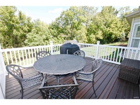 1439 Dietrich Woods Ct, Ballwin, MO 63021 photo 47