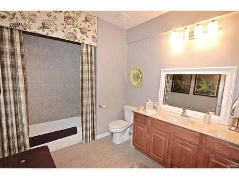 1439 Dietrich Woods Ct, Ballwin, MO 63021 photo 39