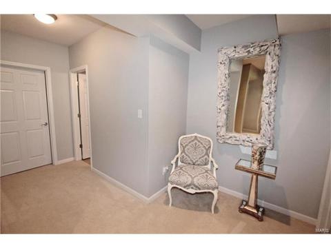 1439 Dietrich Woods Ct, Ballwin, MO 63021 photo 36