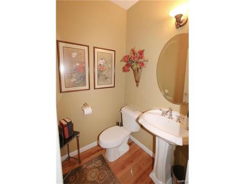1439 Dietrich Woods Ct, Ballwin, MO 63021 photo 24