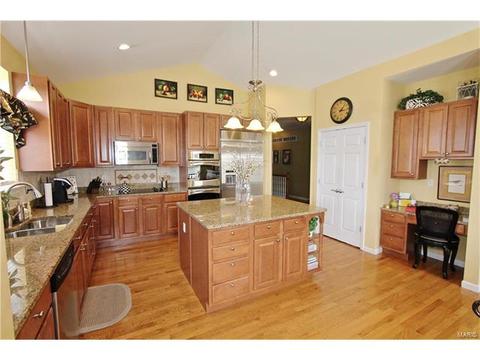 1439 Dietrich Woods Ct, Ballwin, MO 63021 photo 17