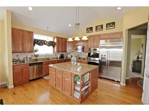 1439 Dietrich Woods Ct, Ballwin, MO 63021 photo 15