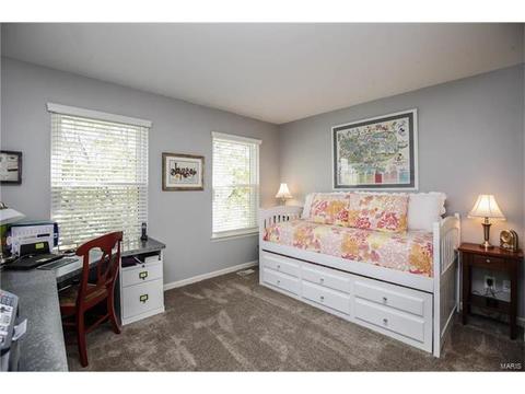 565 Oak Leaf Manor Ct, Ballwin, MO 63021 photo 22