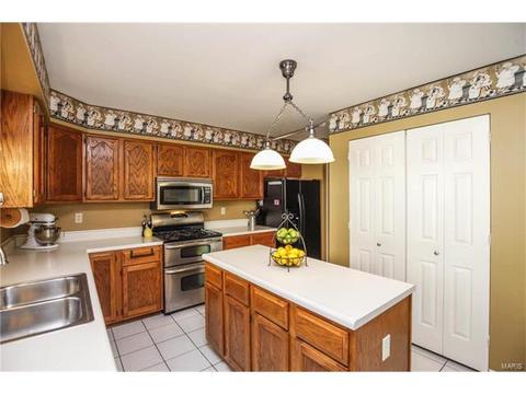 565 Oak Leaf Manor Ct, Ballwin, MO 63021 photo 10