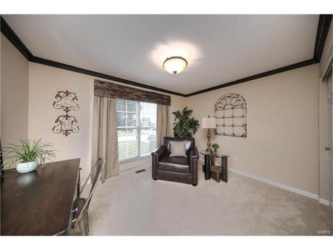 529 Boulder River Dr, O'fallon, MO 63368 photo 20