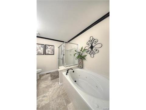 529 Boulder River Dr, O'fallon, MO 63368 photo 17