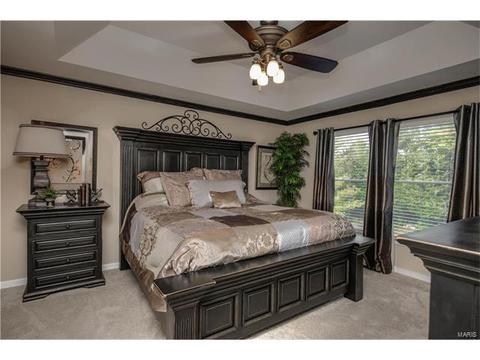 529 Boulder River Dr, O'fallon, MO 63368 photo 16