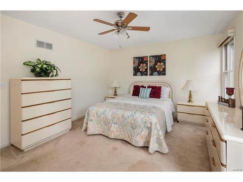 16244 Berry Vw, Wildwood, MO 63011 photo 21